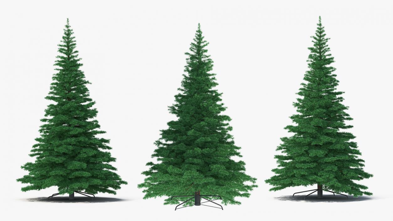 3D Woodland Pine model