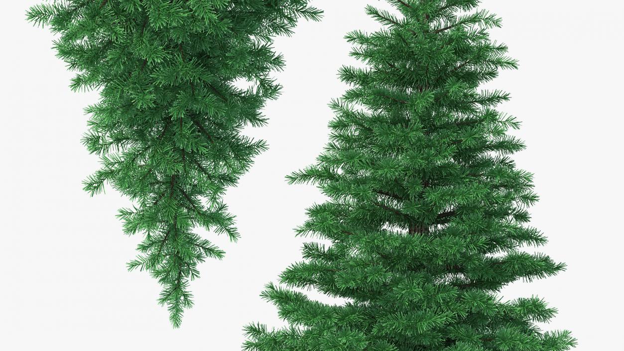 3D Woodland Pine model