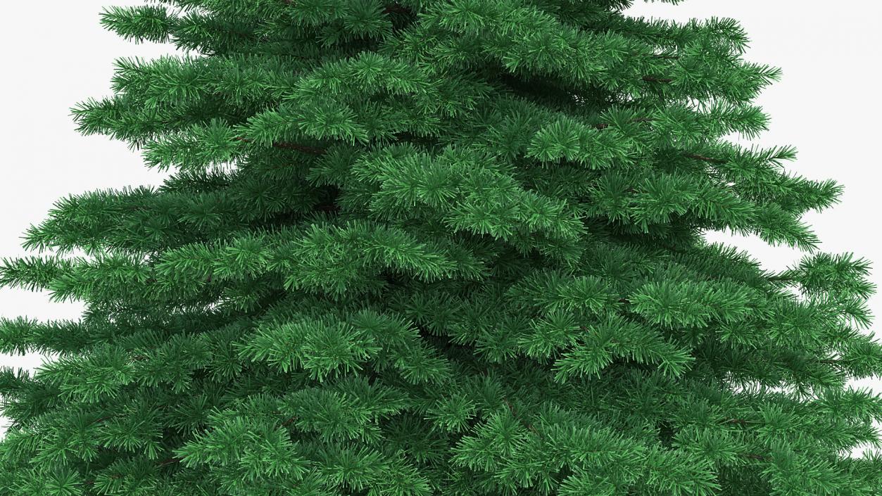 3D Woodland Pine model