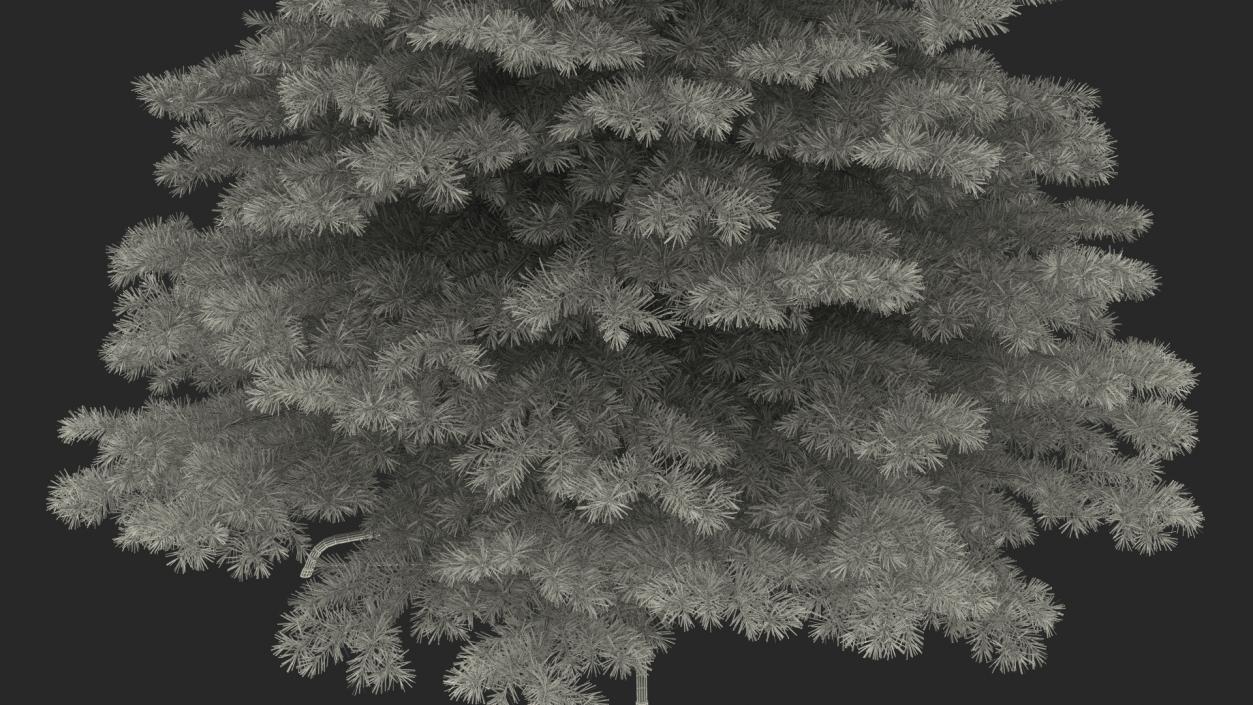 3D Woodland Pine model