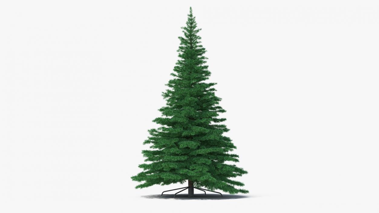 3D Woodland Pine model