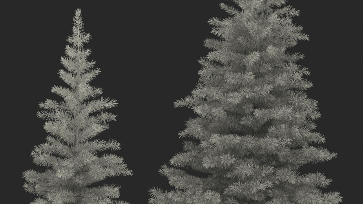 3D Woodland Pine model