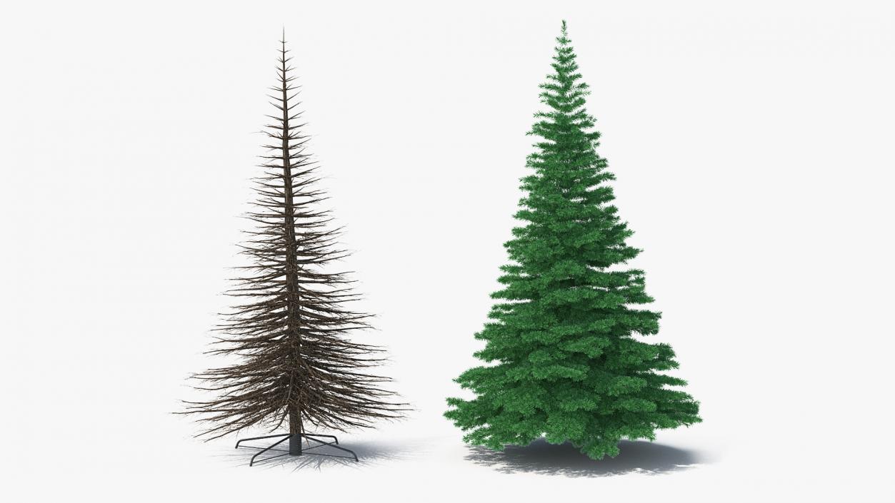 3D Woodland Pine model