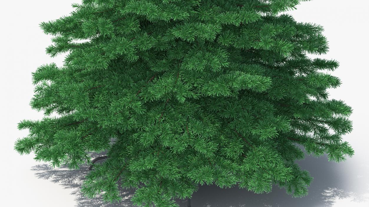 3D Woodland Pine model