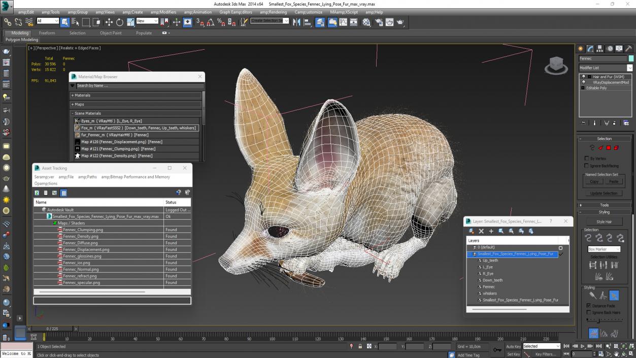 Smallest Fox Species Fennec Lying Pose Fur 3D