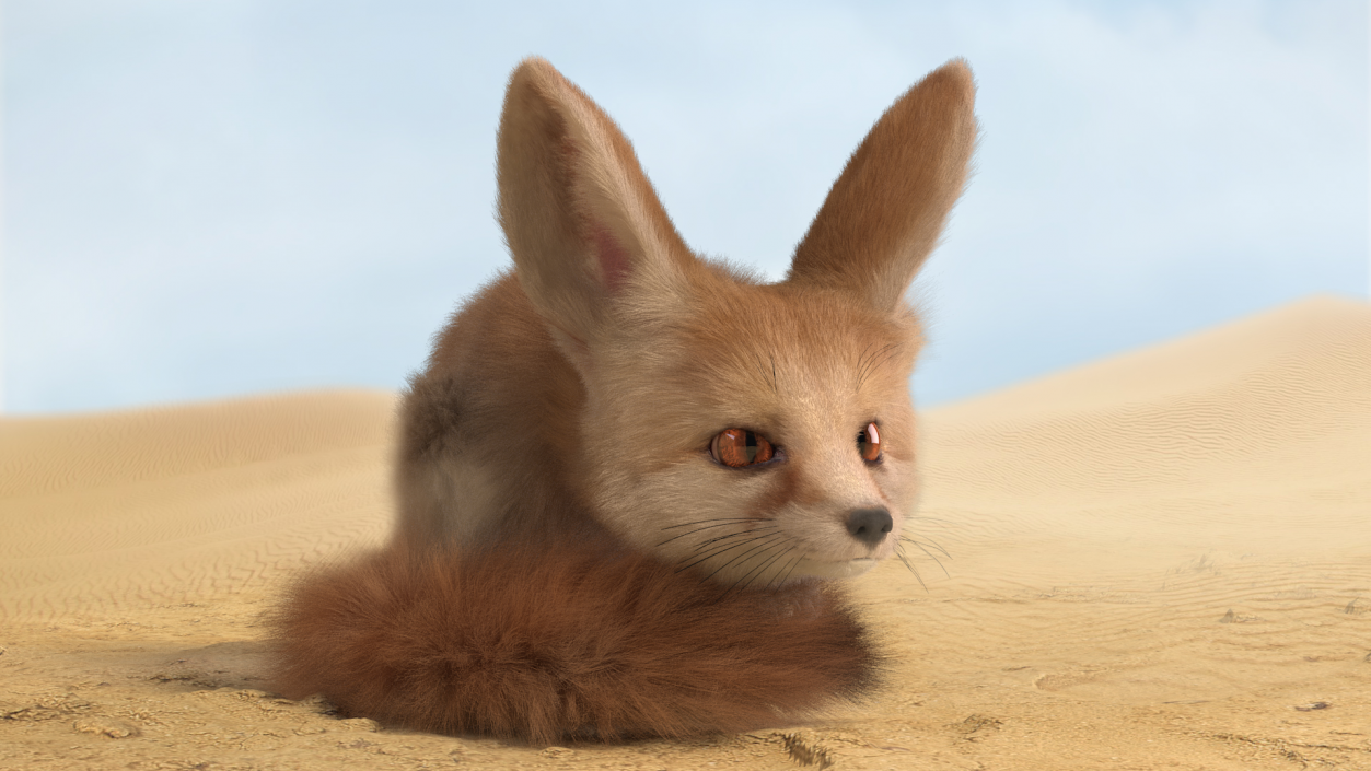 Smallest Fox Species Fennec Lying Pose Fur 3D