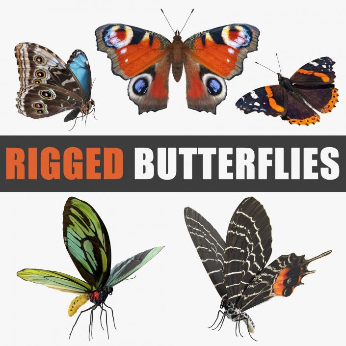 Butterflies Rigged 3D Models Collection 3D model