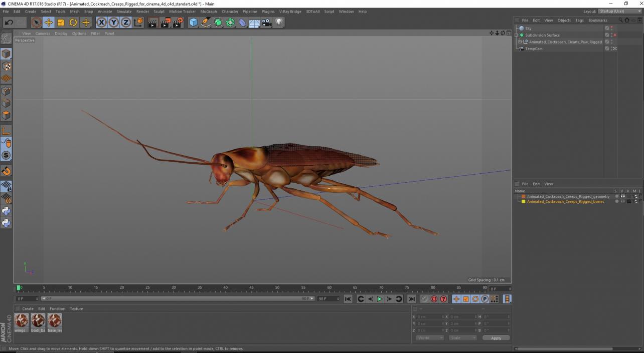 3D Animated Cockroach Creeps Rigged for Cinema 4D