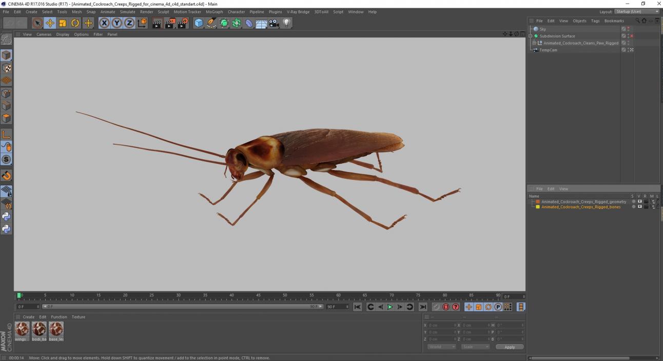 3D Animated Cockroach Creeps Rigged for Cinema 4D