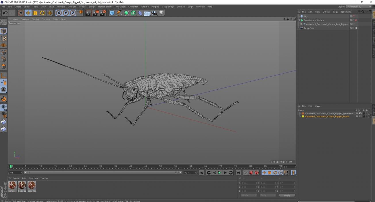 3D Animated Cockroach Creeps Rigged for Cinema 4D