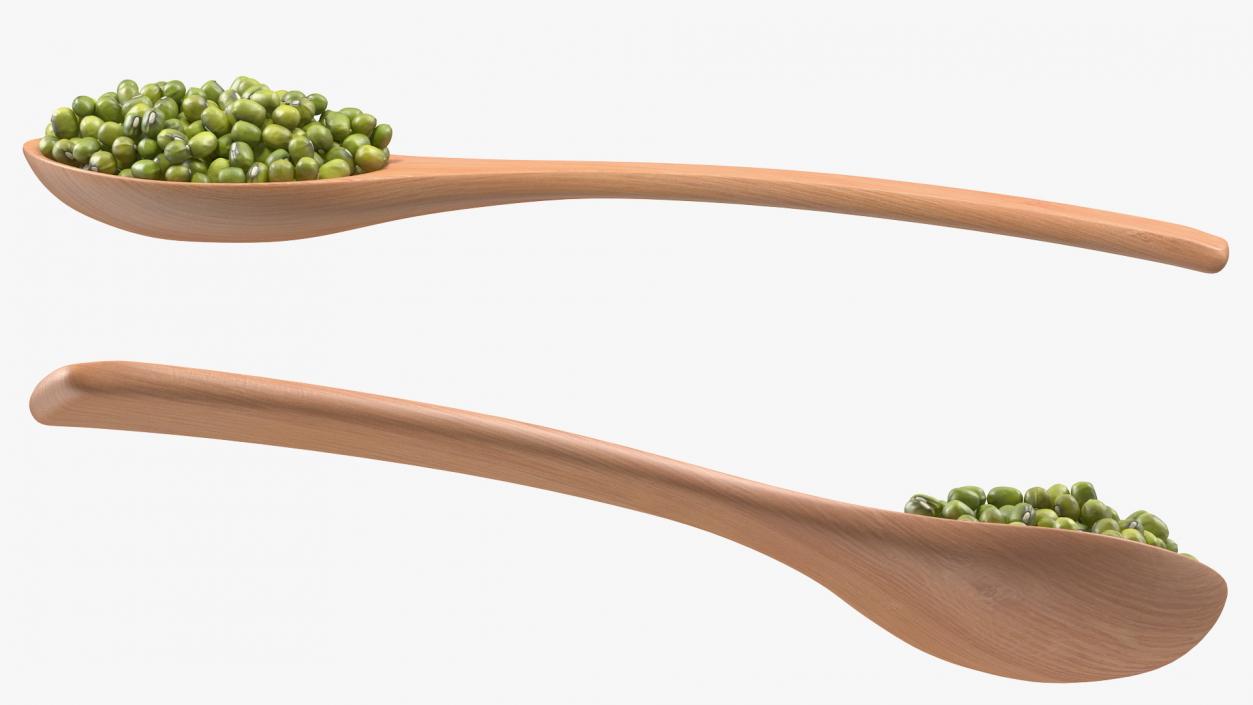 3D Mung Beans in Wooden Spoon