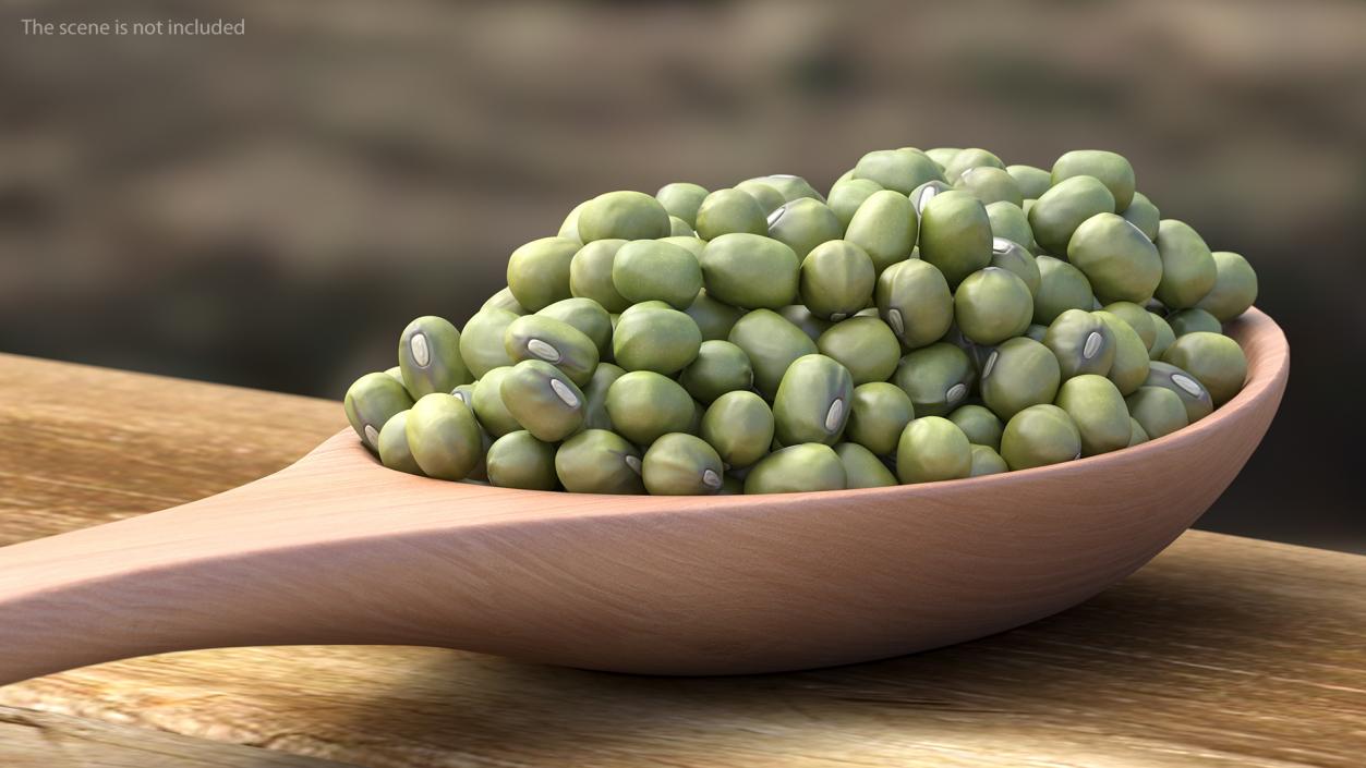 3D Mung Beans in Wooden Spoon