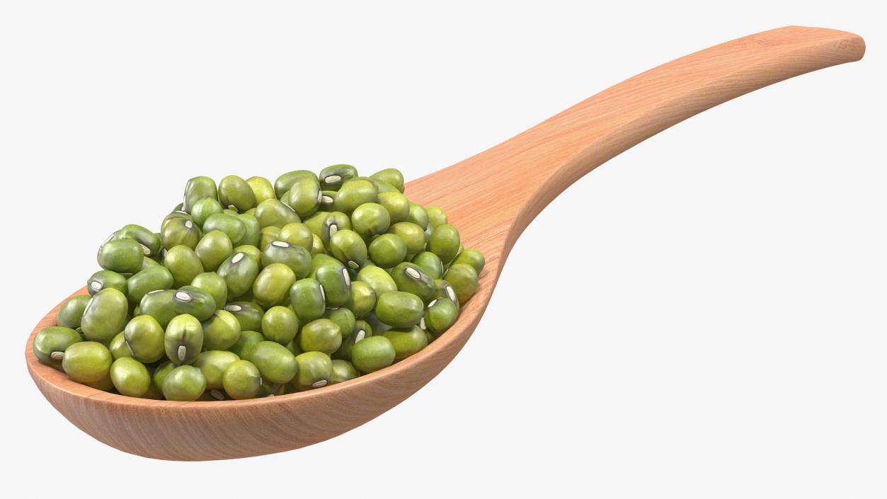 3D Mung Beans in Wooden Spoon