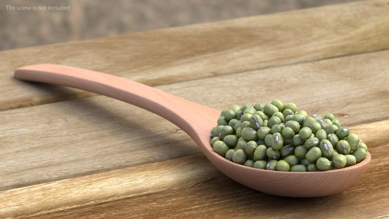 3D Mung Beans in Wooden Spoon