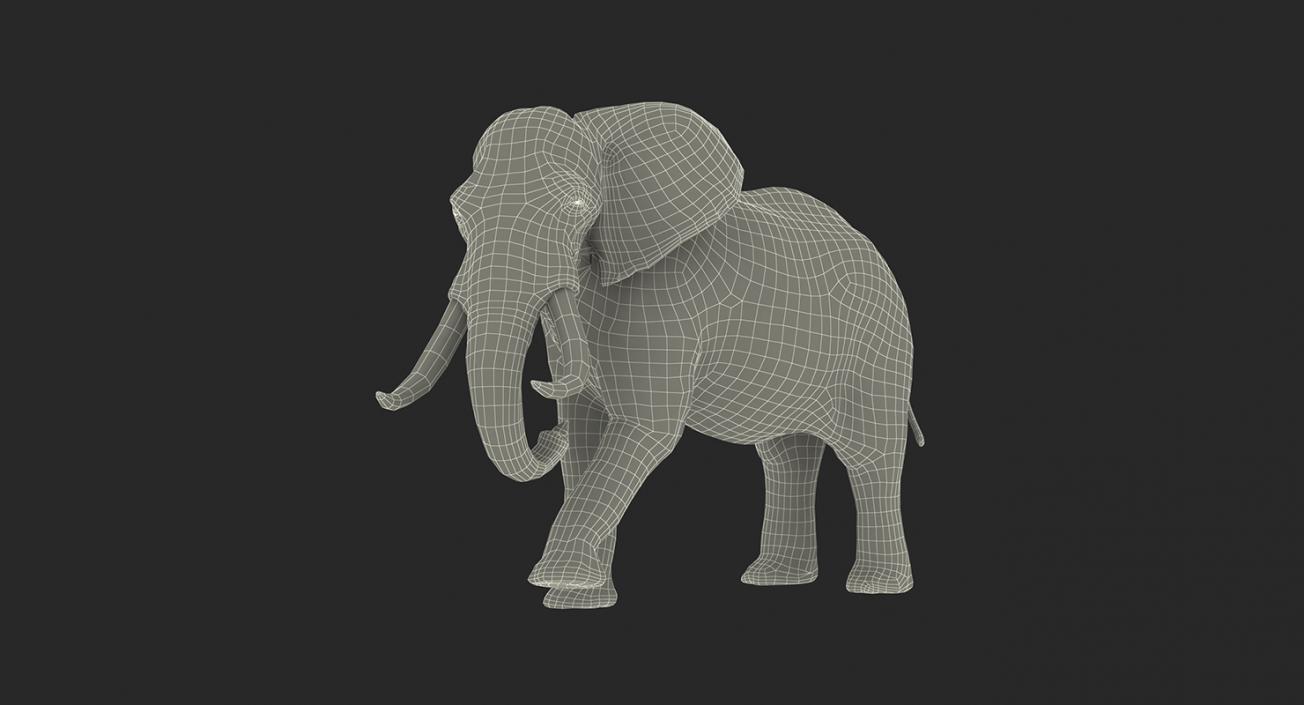 3D model Rigged African Animals 3D Models Collection 2