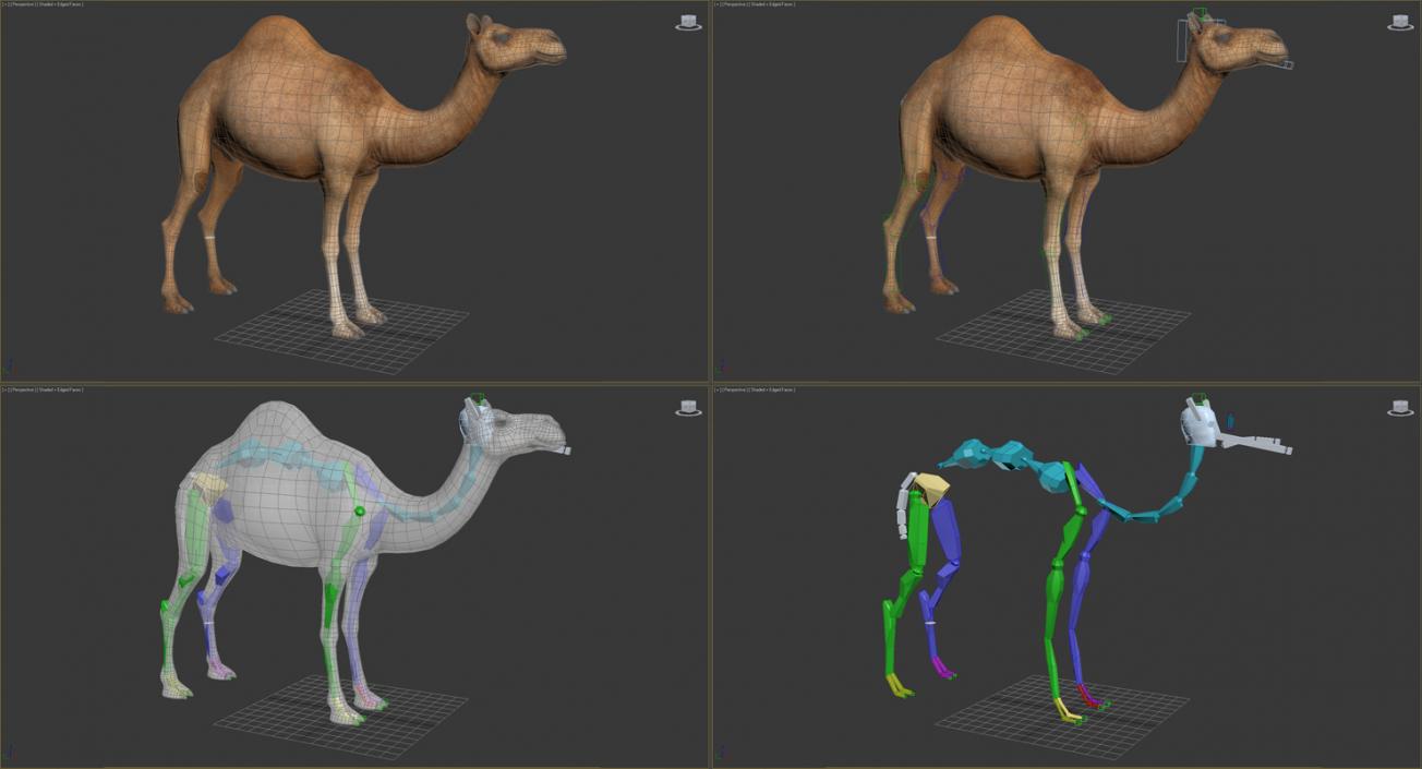 3D model Rigged African Animals 3D Models Collection 2