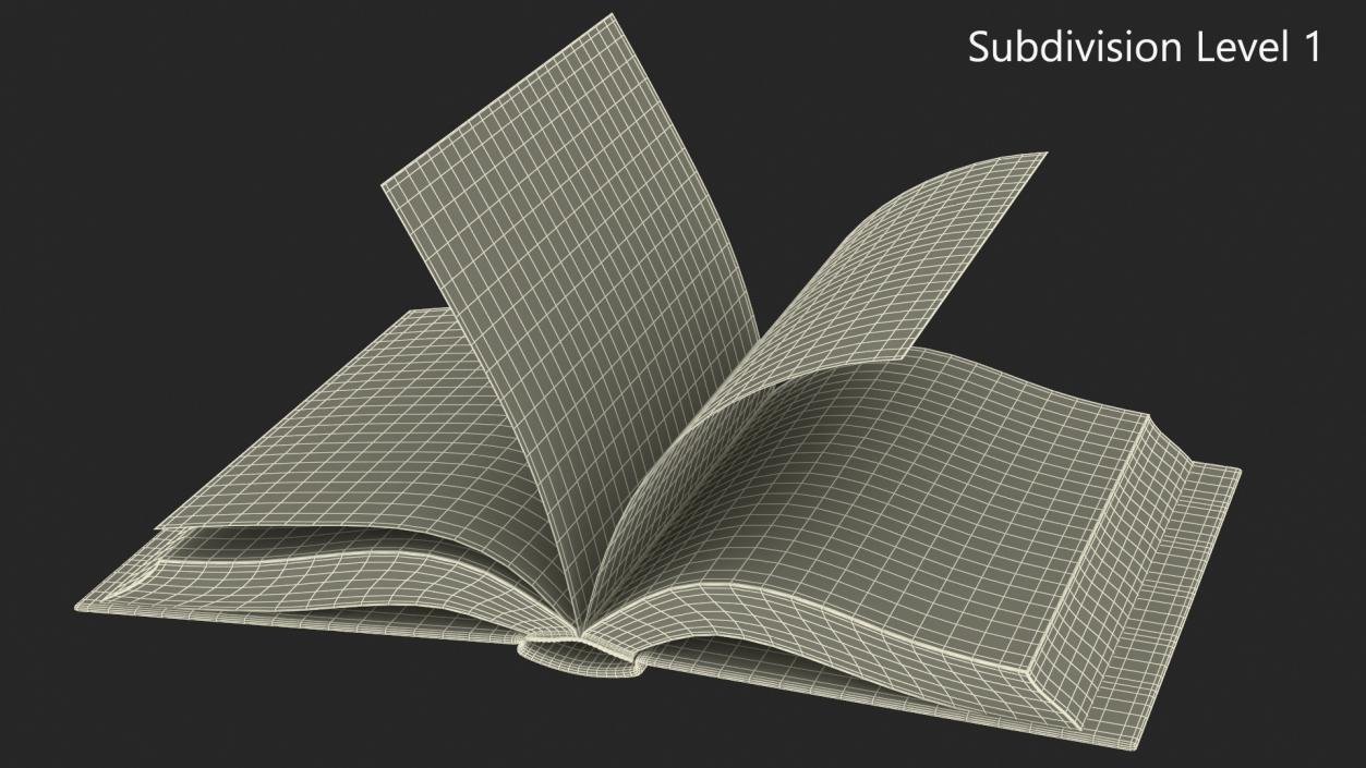 3D model Book Rigged Animated