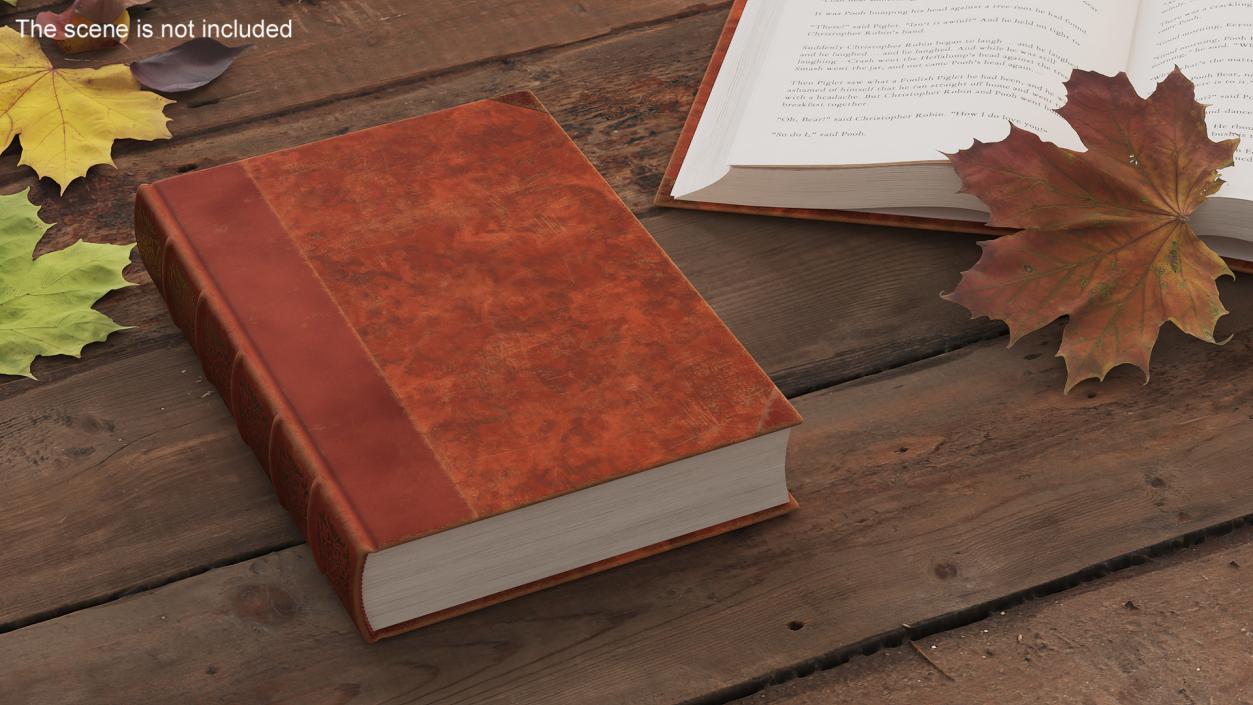 3D model Book Rigged Animated