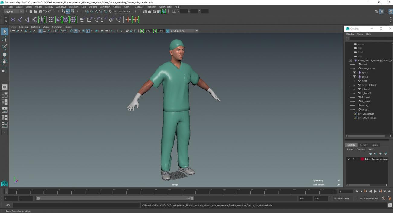 Asian Doctor wearing Gloves 3D