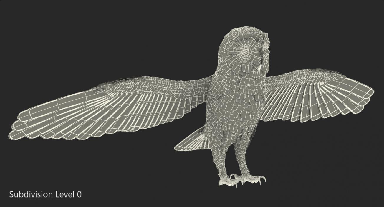 3D model Common Barn Owl