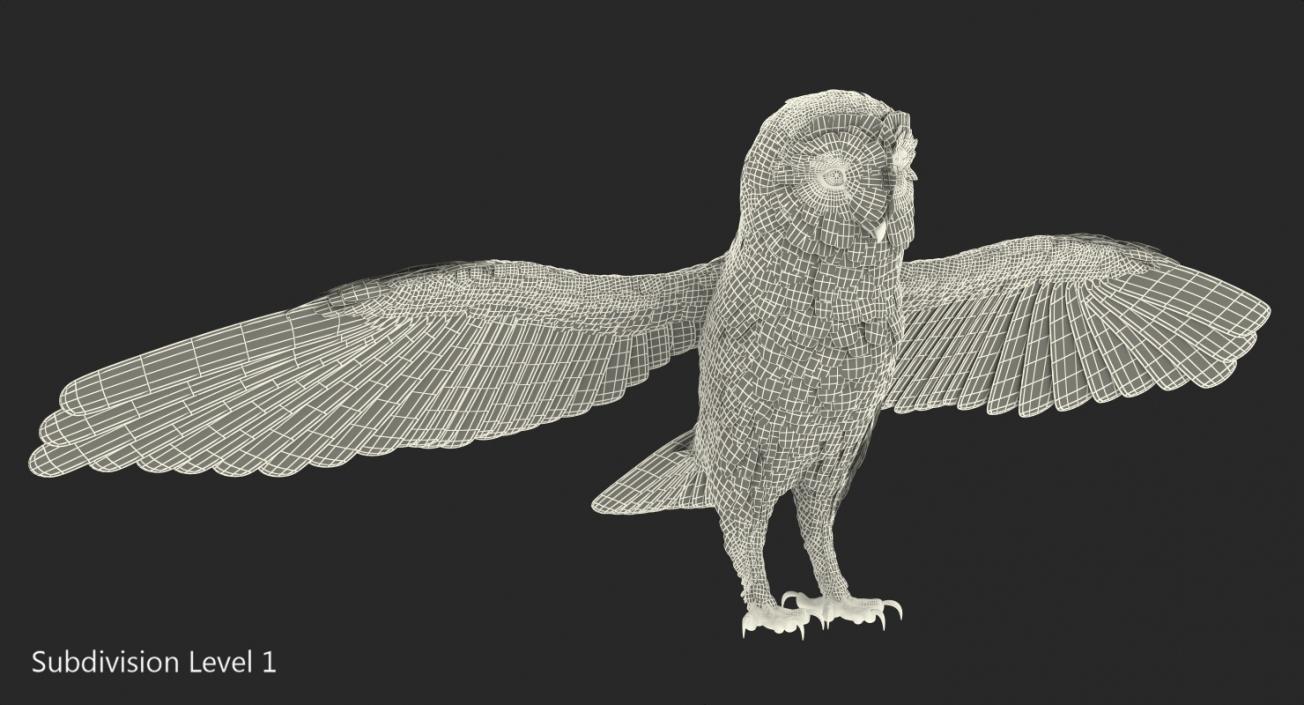 3D model Common Barn Owl