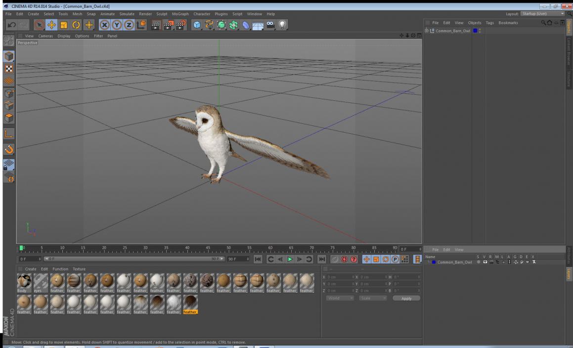 3D model Common Barn Owl