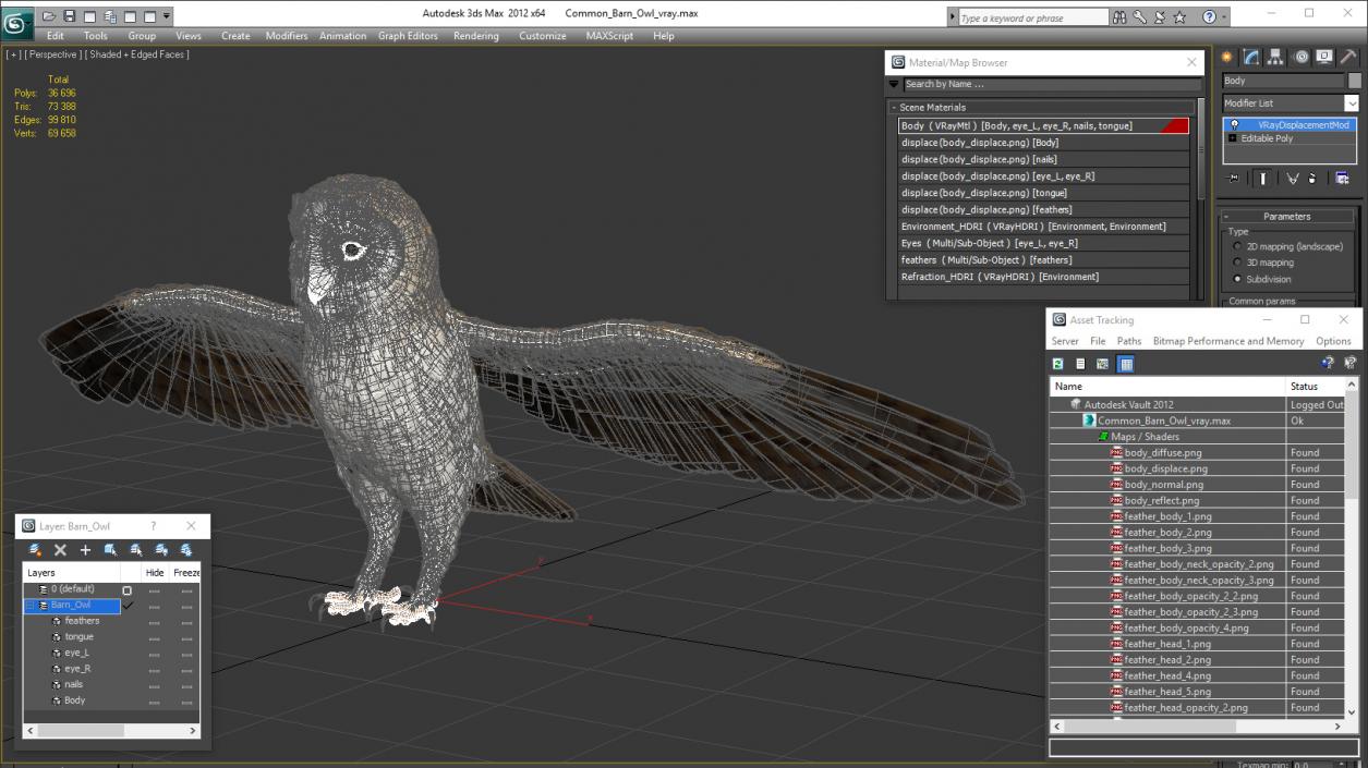 3D model Common Barn Owl