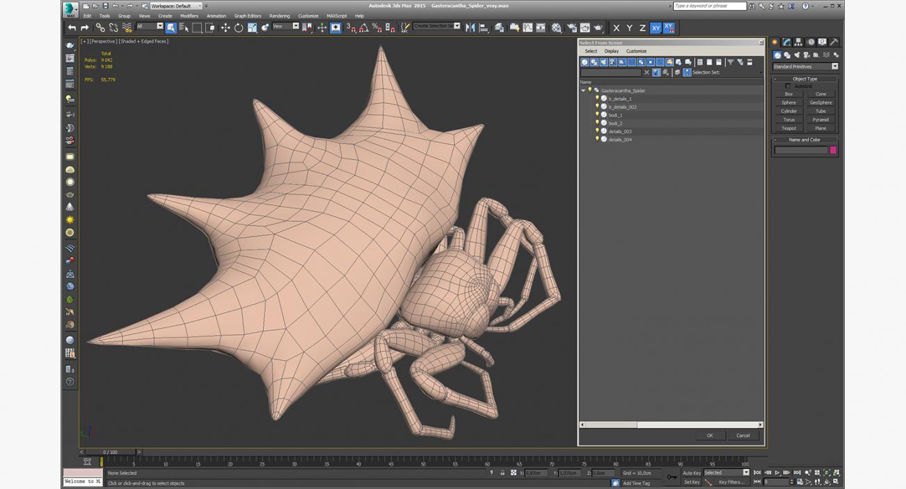 3D model Gasteracantha Spider