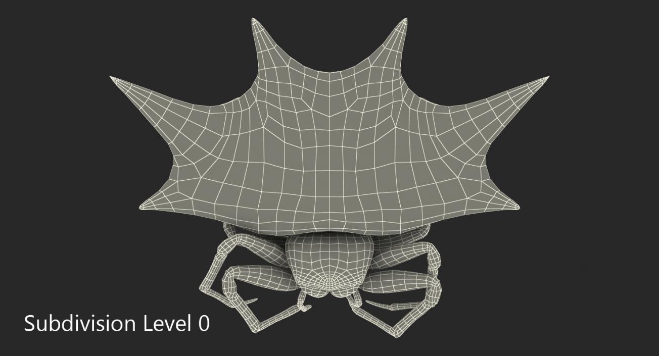 3D model Gasteracantha Spider