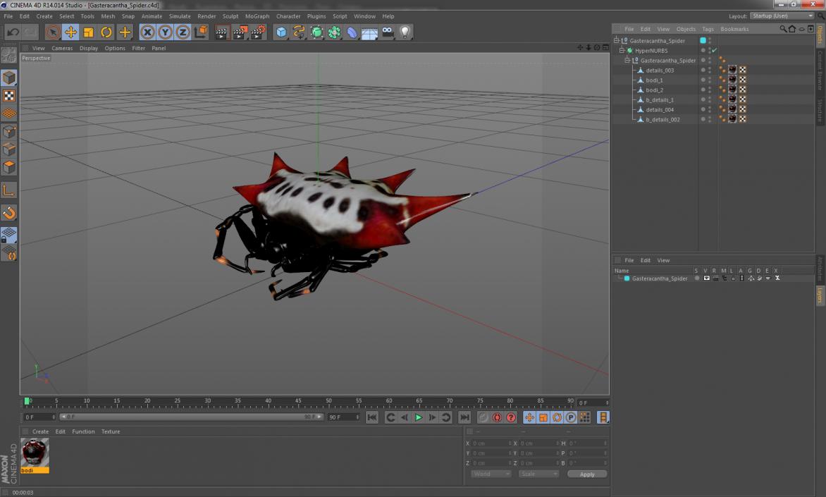 3D model Gasteracantha Spider