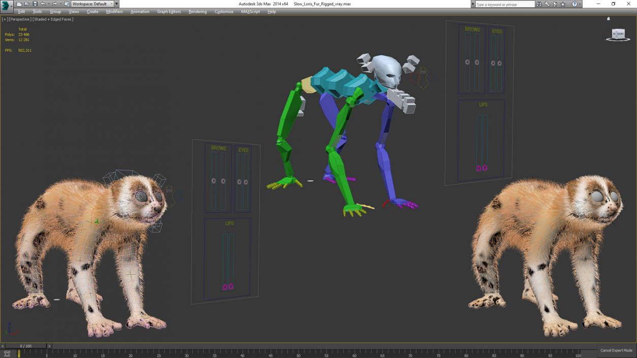 3D Slow Loris Fur Rigged