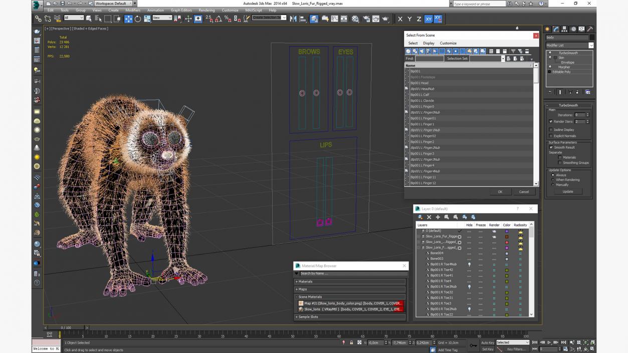 3D Slow Loris Fur Rigged