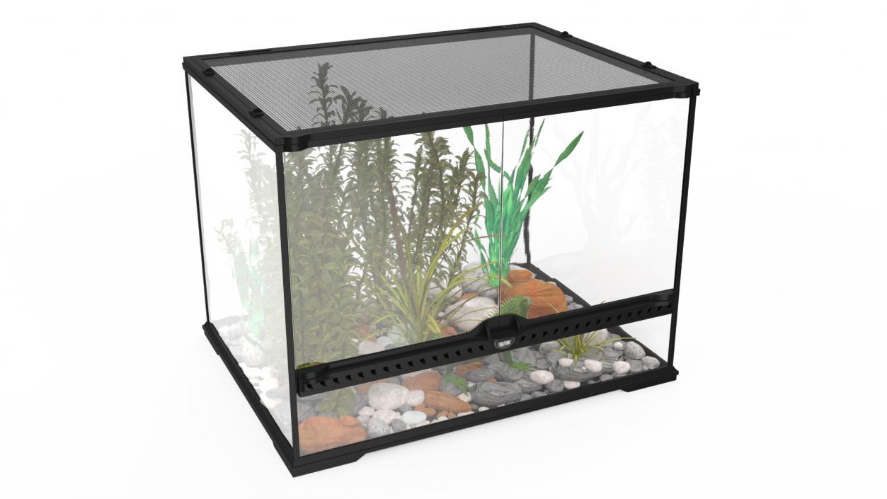 Medium Size Terrarium with Green Iguana 3D model