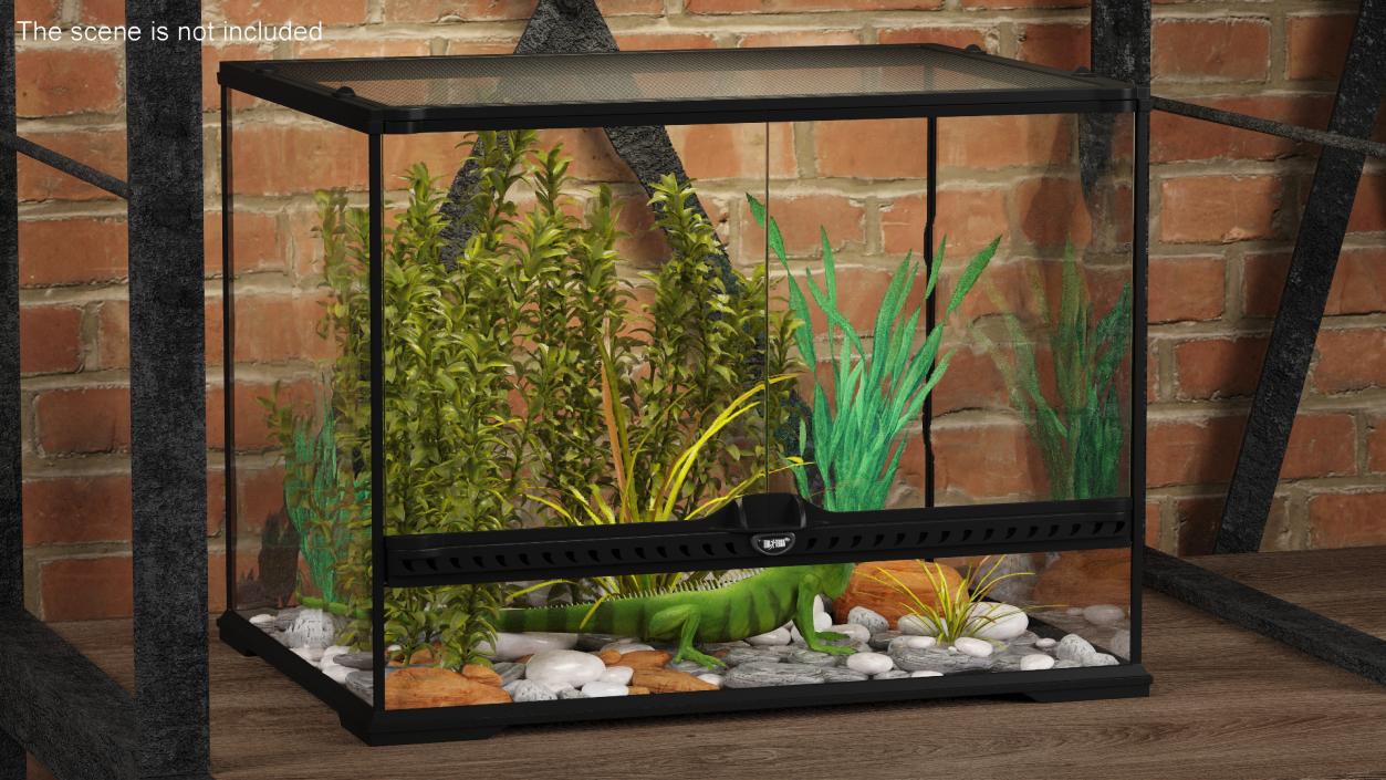 Medium Size Terrarium with Green Iguana 3D model