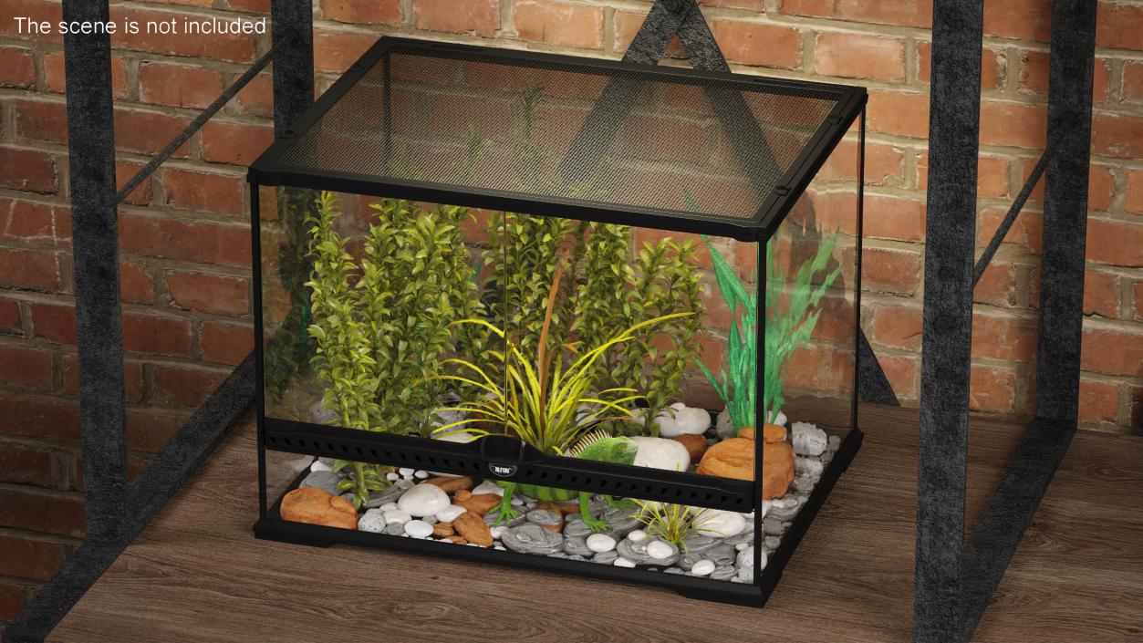 Medium Size Terrarium with Green Iguana 3D model