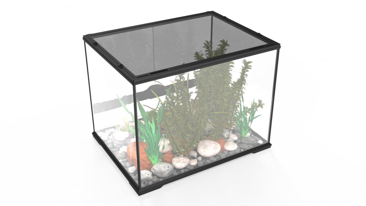 Medium Size Terrarium with Green Iguana 3D model