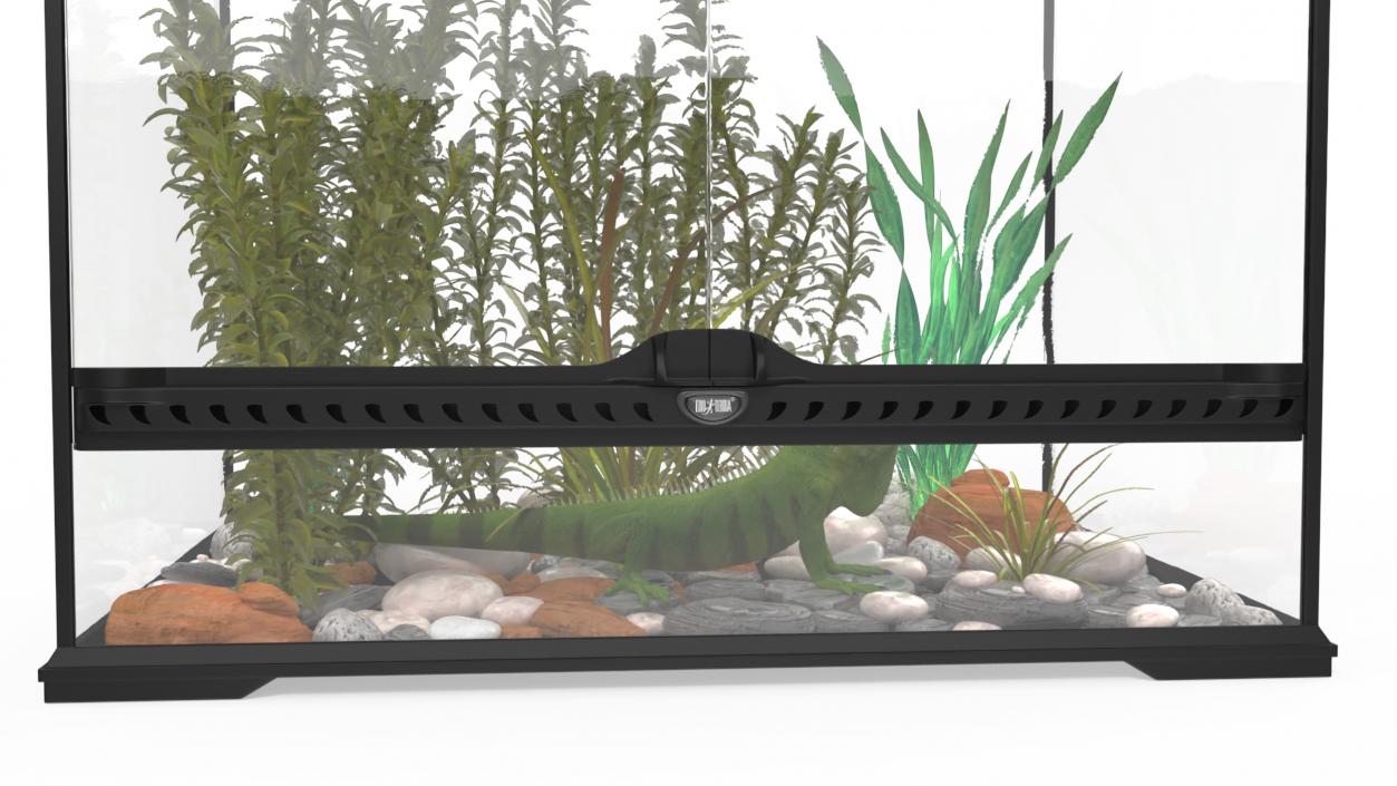 Medium Size Terrarium with Green Iguana 3D model