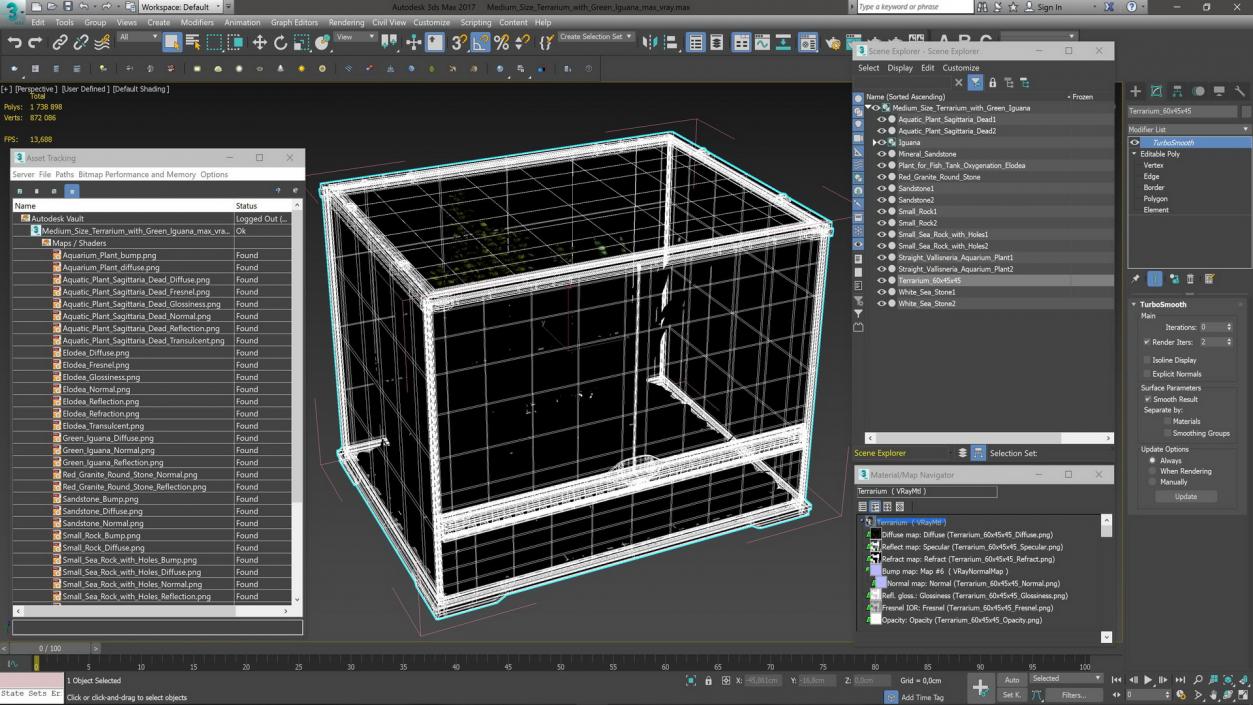 Medium Size Terrarium with Green Iguana 3D model