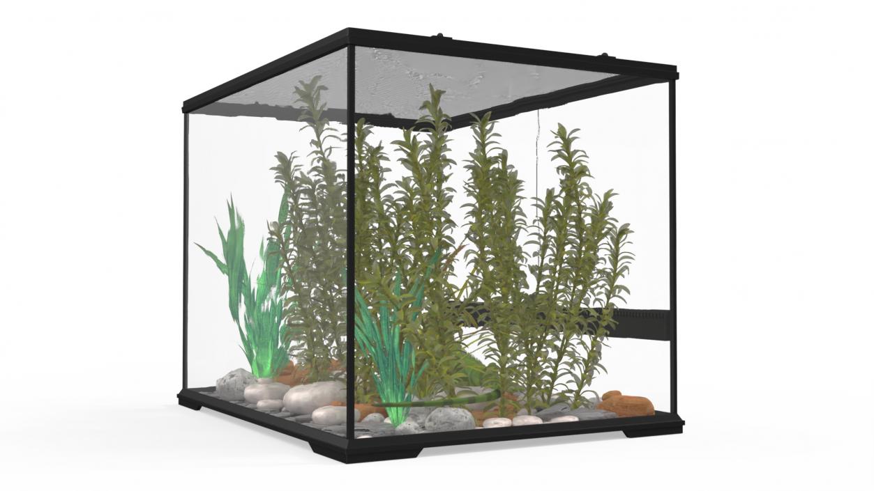 Medium Size Terrarium with Green Iguana 3D model