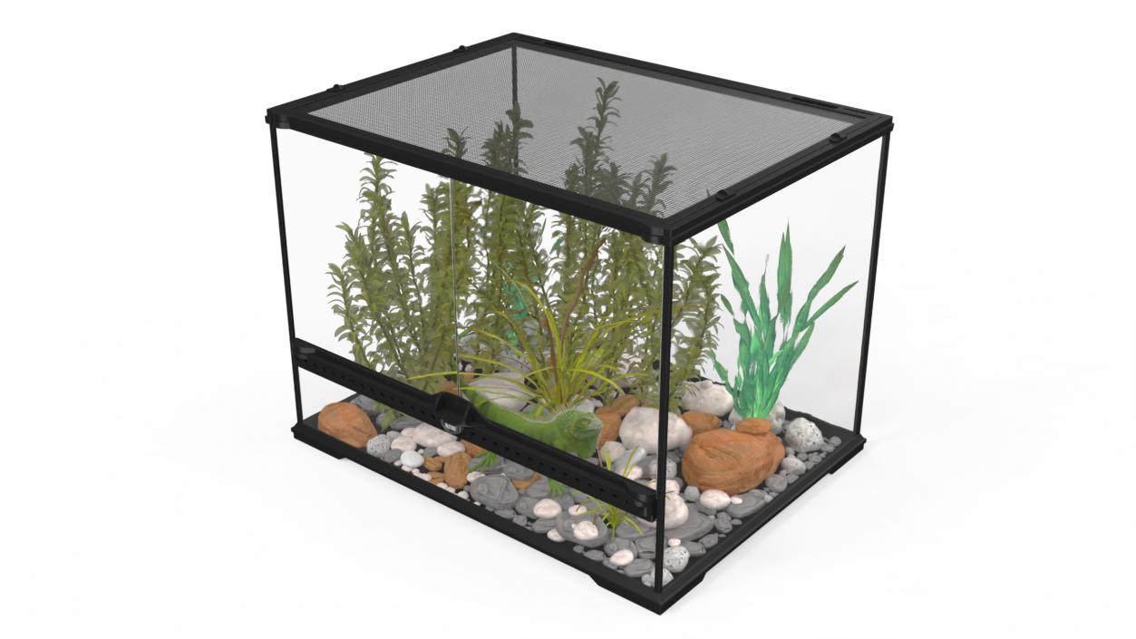 Medium Size Terrarium with Green Iguana 3D model