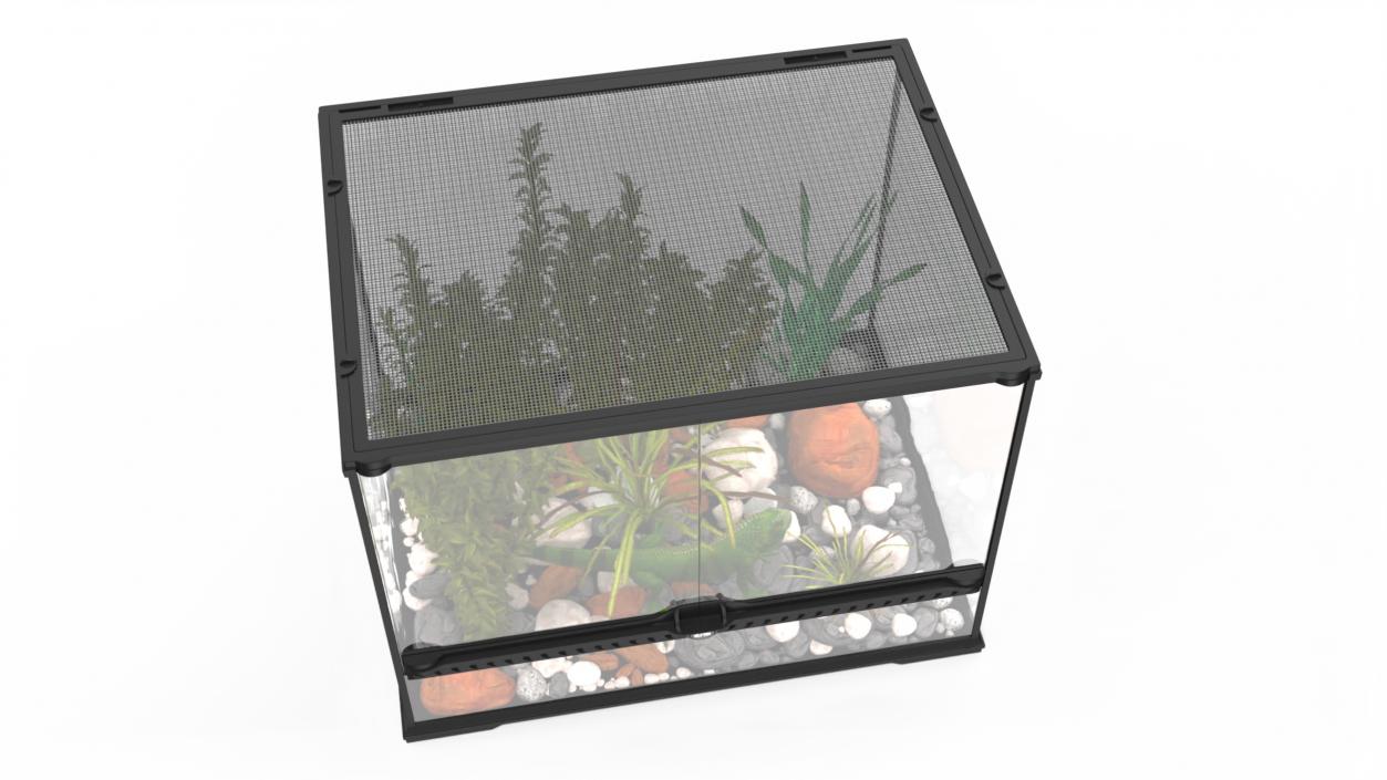 Medium Size Terrarium with Green Iguana 3D model