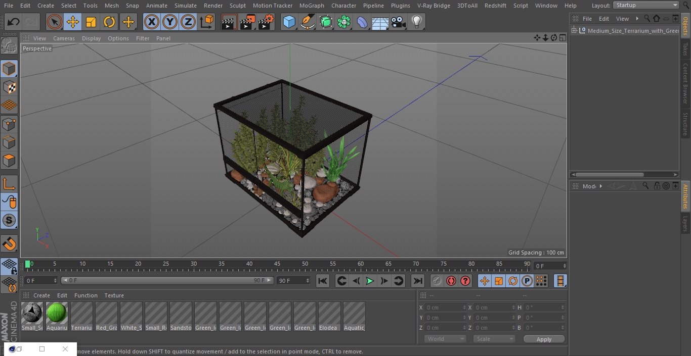 Medium Size Terrarium with Green Iguana 3D model