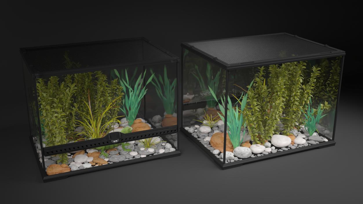 Medium Size Terrarium with Green Iguana 3D model