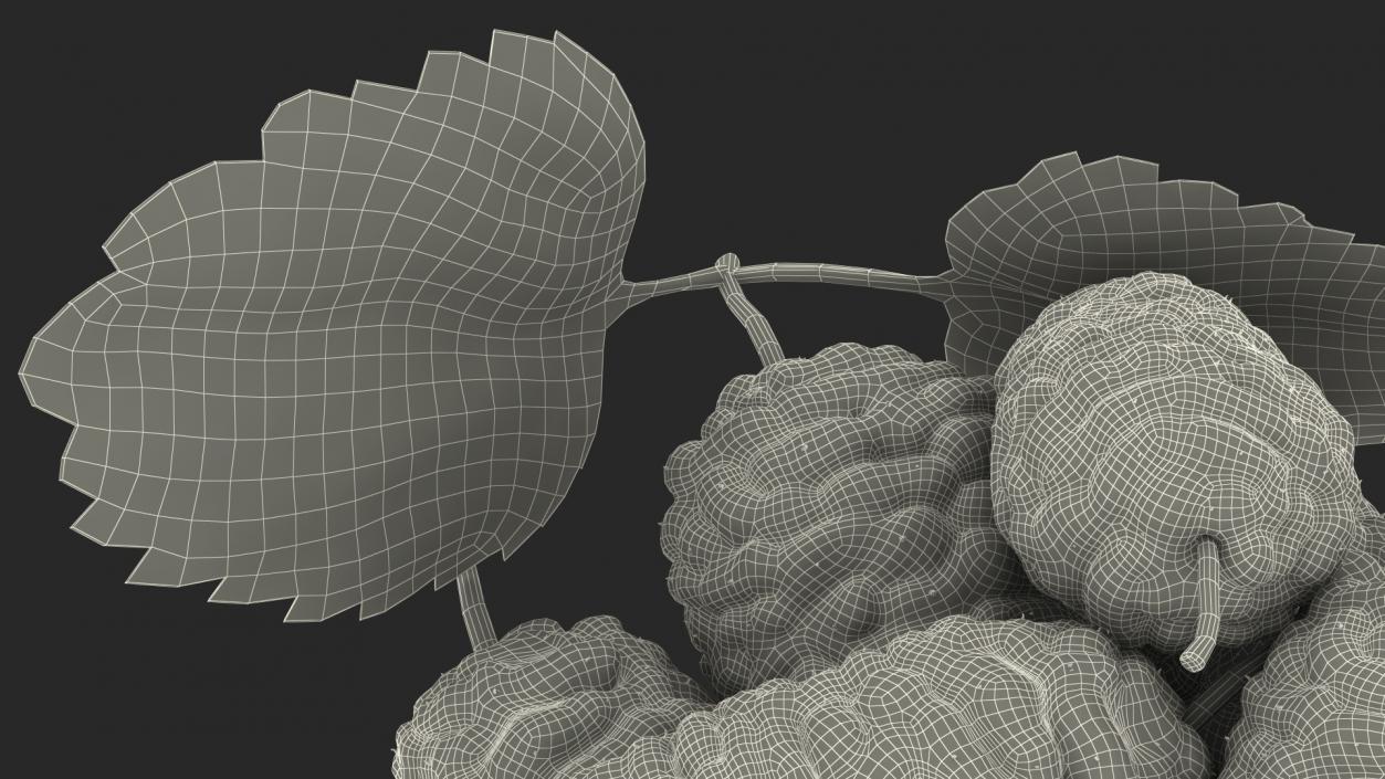 3D model Pile of Mulberry Fruit White 2