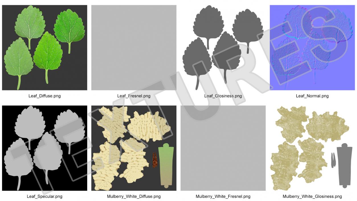 3D model Pile of Mulberry Fruit White 2