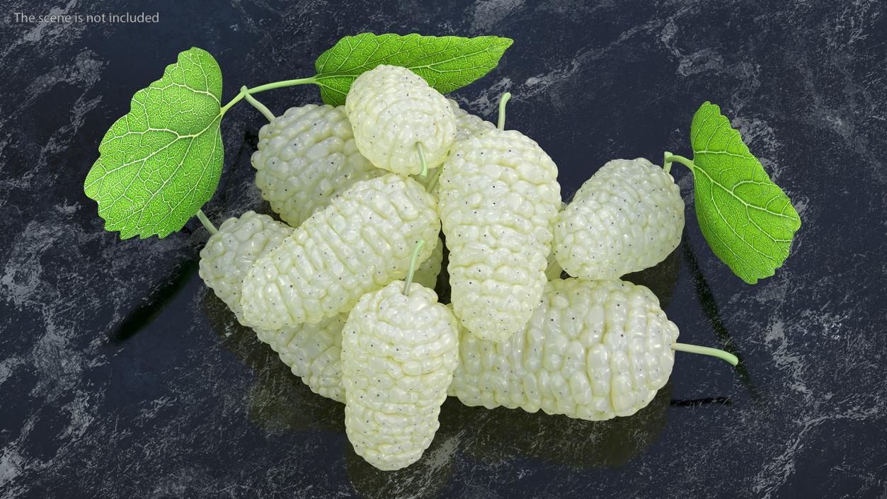 3D model Pile of Mulberry Fruit White 2