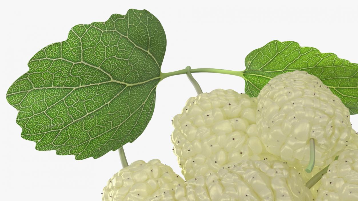 3D model Pile of Mulberry Fruit White 2