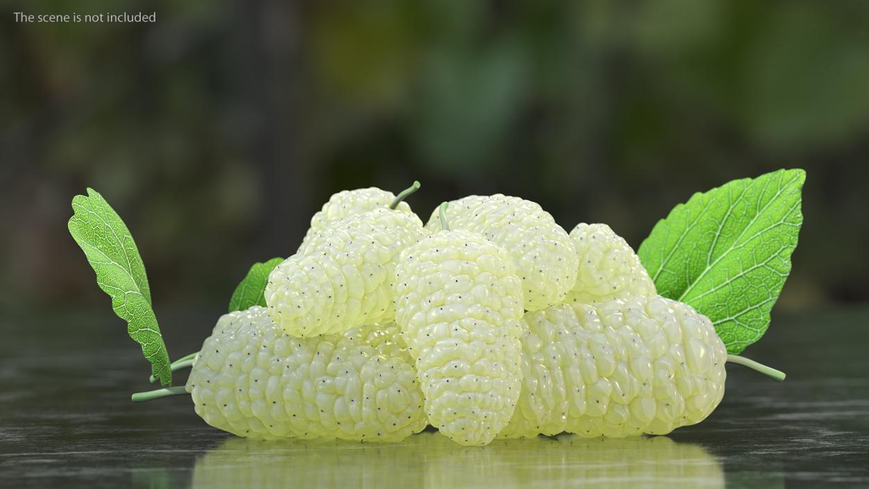 3D model Pile of Mulberry Fruit White 2