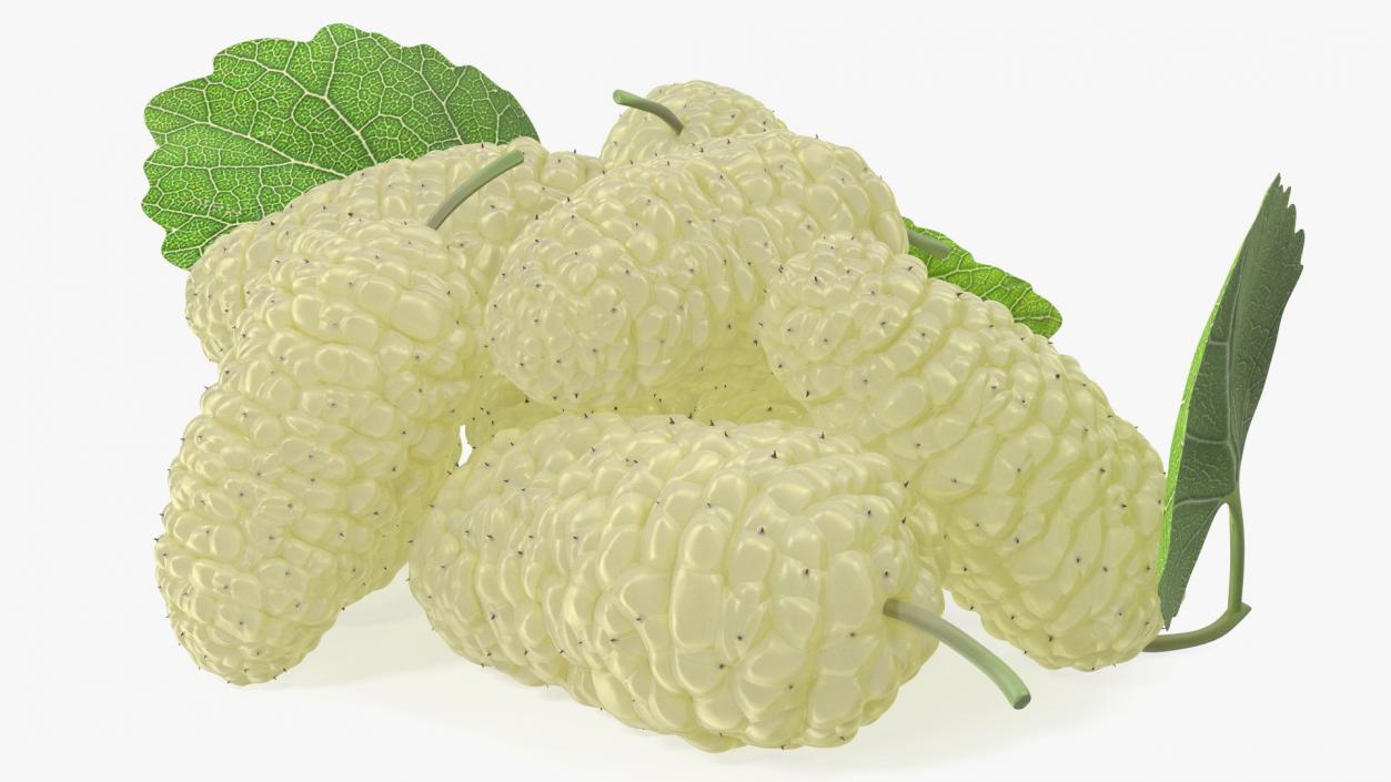 3D model Pile of Mulberry Fruit White 2