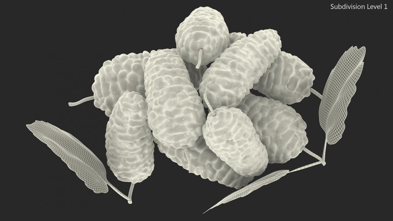 3D model Pile of Mulberry Fruit White 2